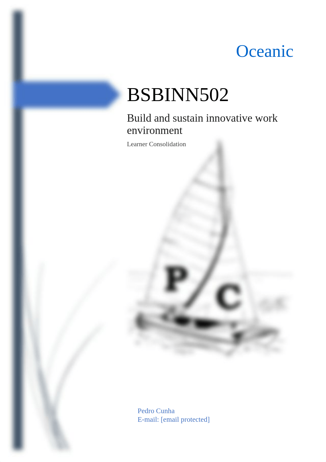 BSBINN502 - BUILD AND SUSTAIN AN INNOVATIVE WORK ENVIRONMENT - consolidation.pdf_dvh74e57ch4_page1