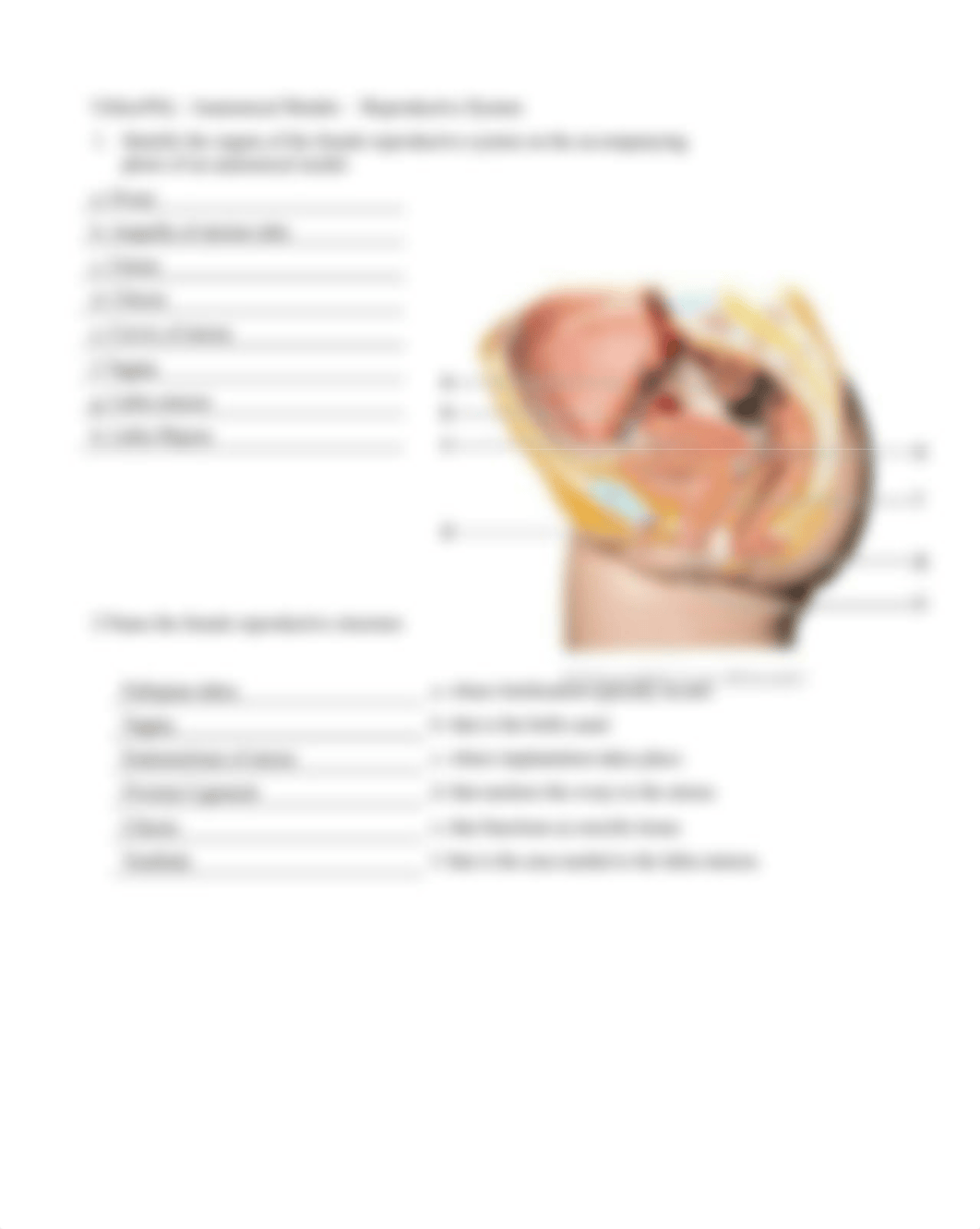 15. Unit 15 laboratory exercise 31.docx_dvhf84pt2oz_page2