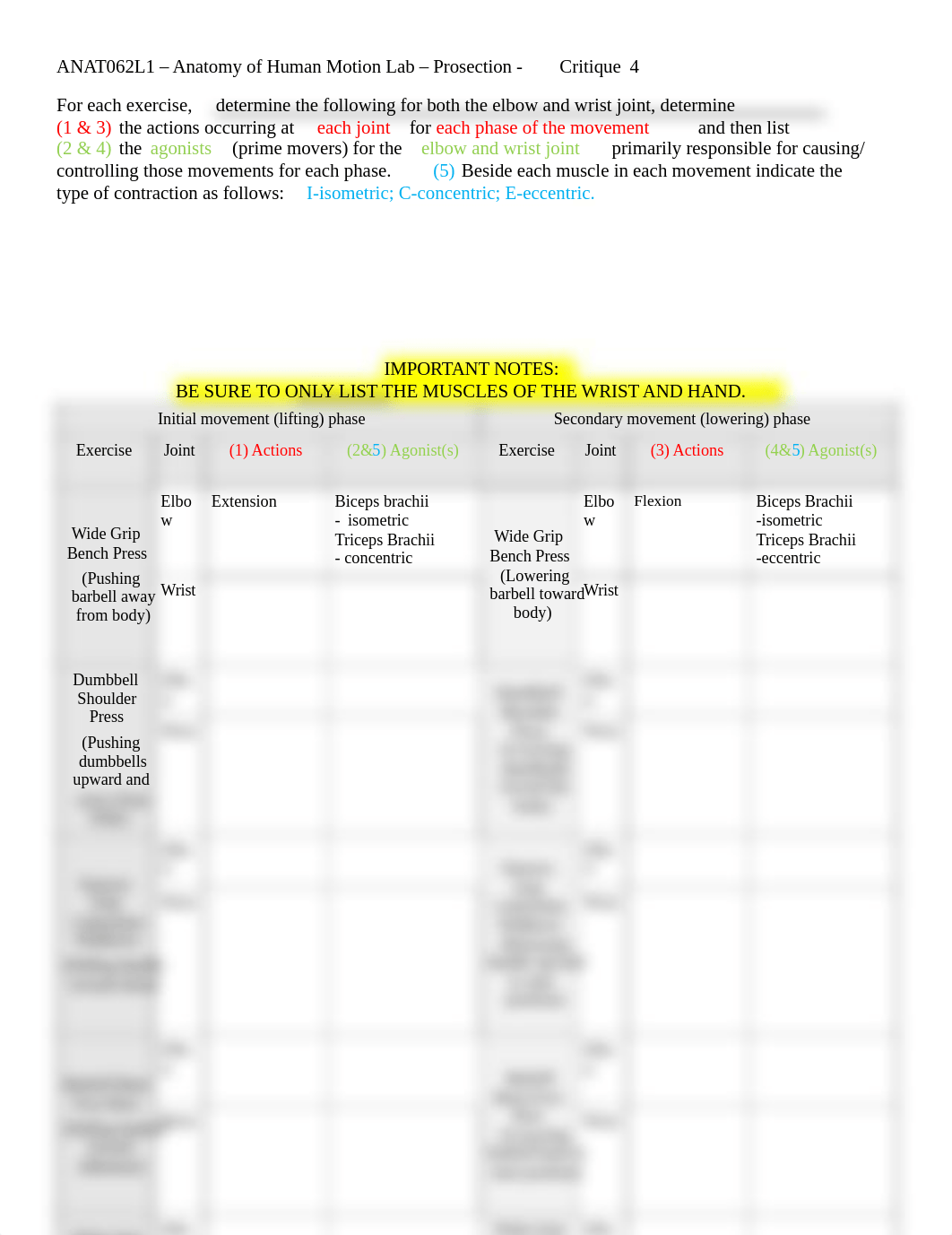 ANAT062L1-Critique4.pdf_dvhth5vjgp5_page1