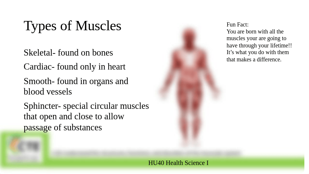 2.02 Structures, Functions, and Disorders of the Muscular System C.Thornton.pptx_dvi0tvg7pyh_page2