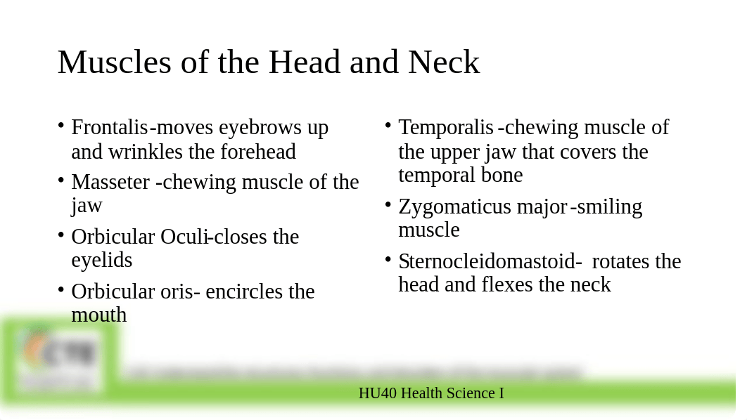 2.02 Structures, Functions, and Disorders of the Muscular System C.Thornton.pptx_dvi0tvg7pyh_page5