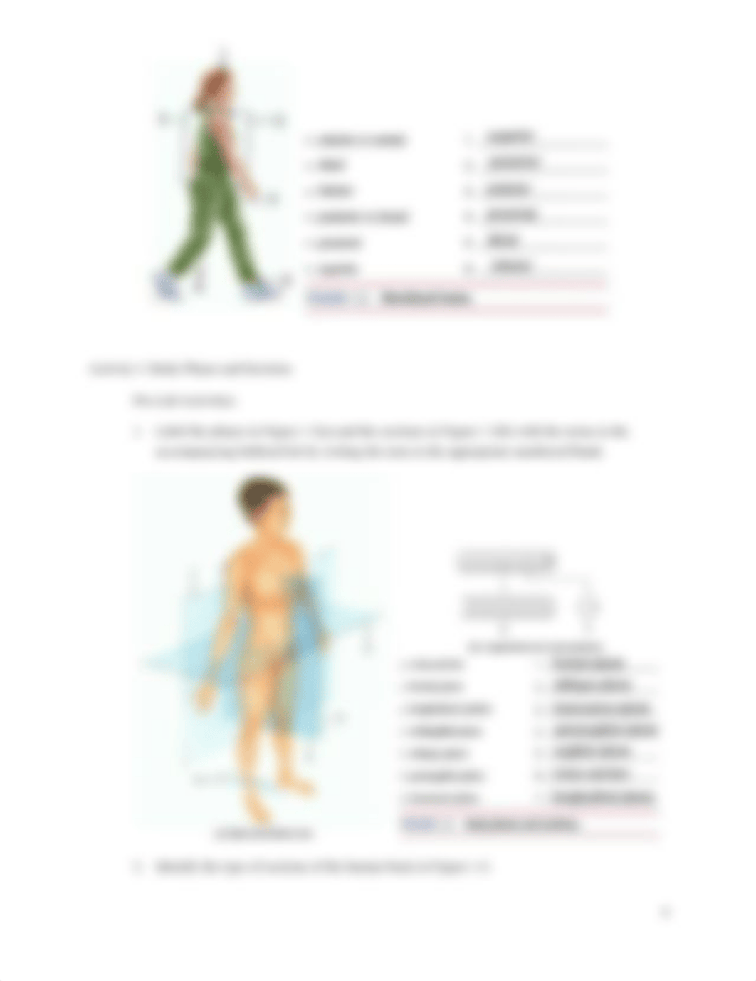 LAB An Overview of Anatomy.pdf_dvi1c579fuf_page4