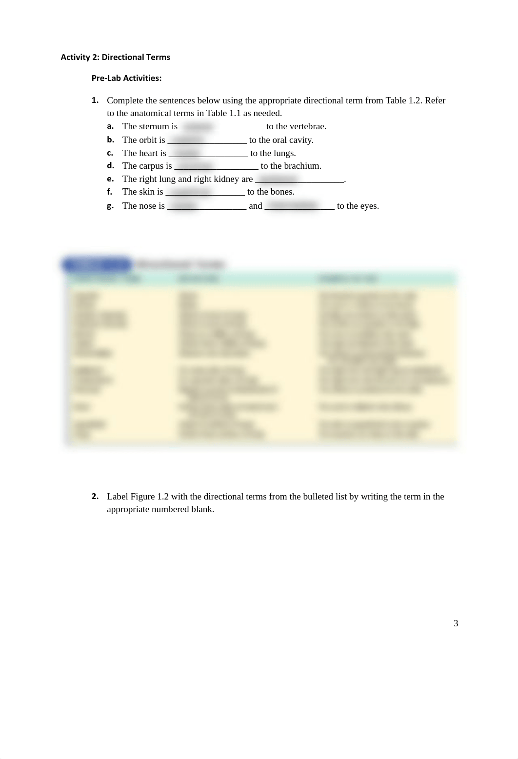 LAB An Overview of Anatomy.pdf_dvi1c579fuf_page3