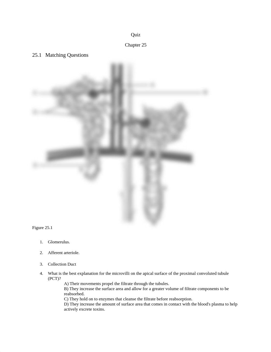 Quiz. urinarydocx (1).docx_dvi2fxmo5zt_page1