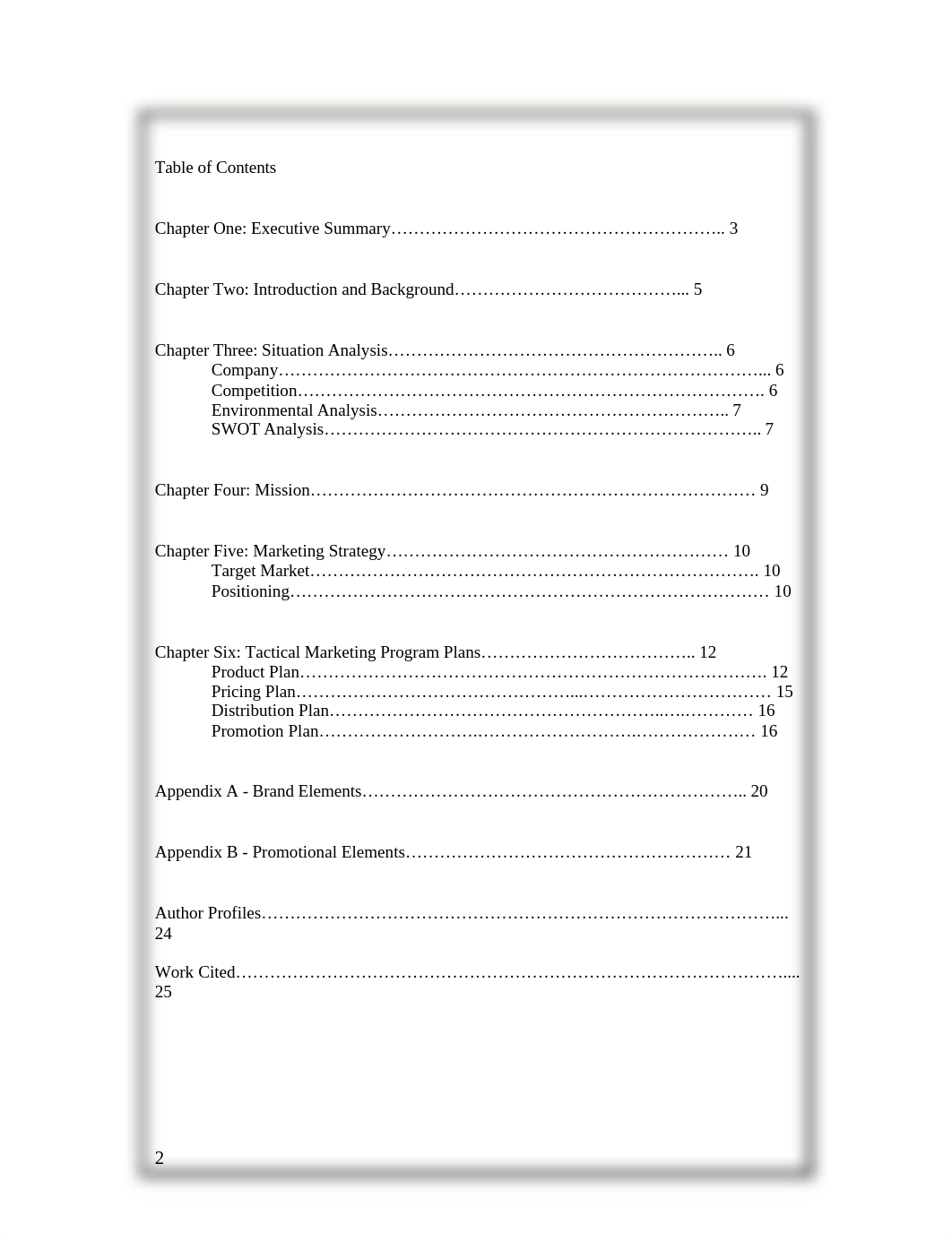 Marketing Plan Final_dvi6ipkk44g_page2