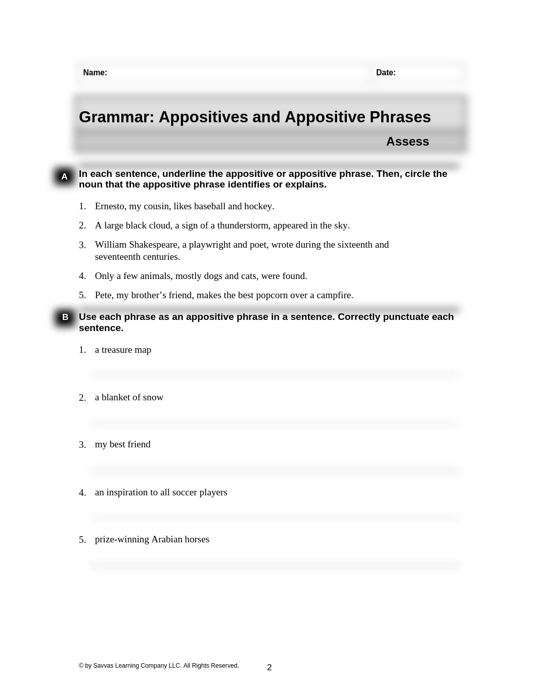 Appositives_and_Appositive_Phrases.doc_dvi81cpkfby_page2