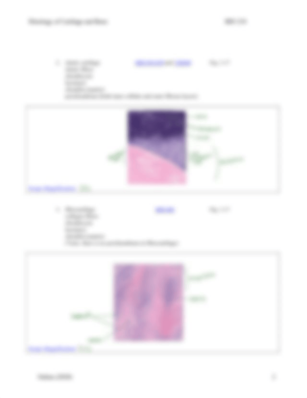 Lab HW 2 Histology of Supporting Connective Tissues.pdf_dviawm0xbo9_page2