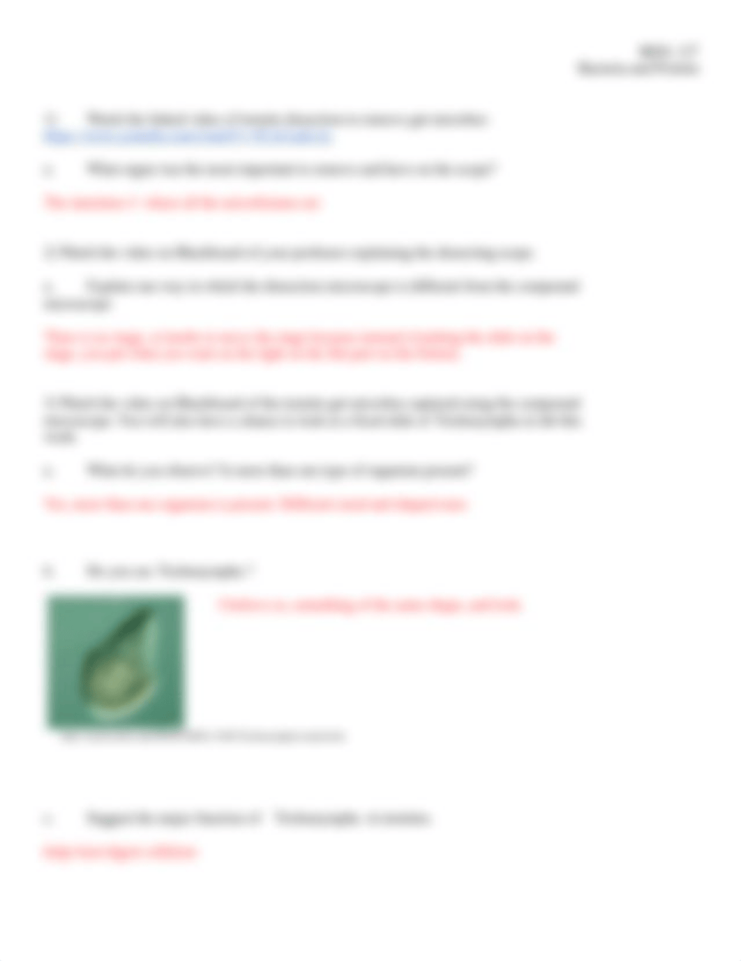 IN PERSON Bacteria and Protists lab.pdf_dvidp5hruu3_page2