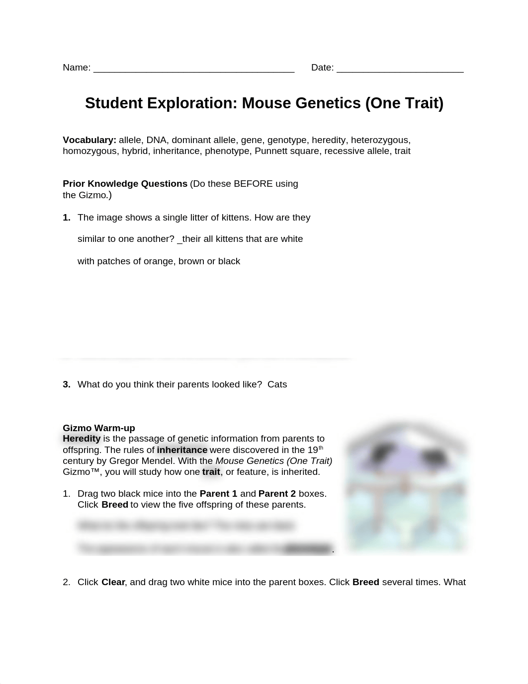 Mouse.docx_dvihazppmkj_page1