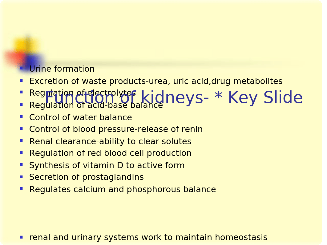 Renal Disease and Nursing Management (1).ppt_dvijotgvnbe_page4