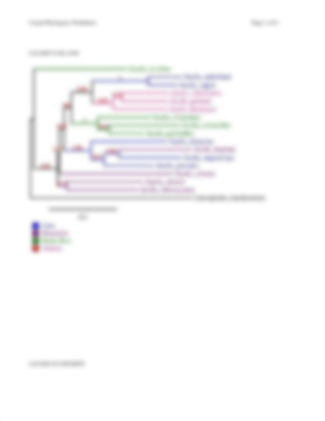 Lizard phylogeny worksheet-1.docx_dvinmzi20kt_page2