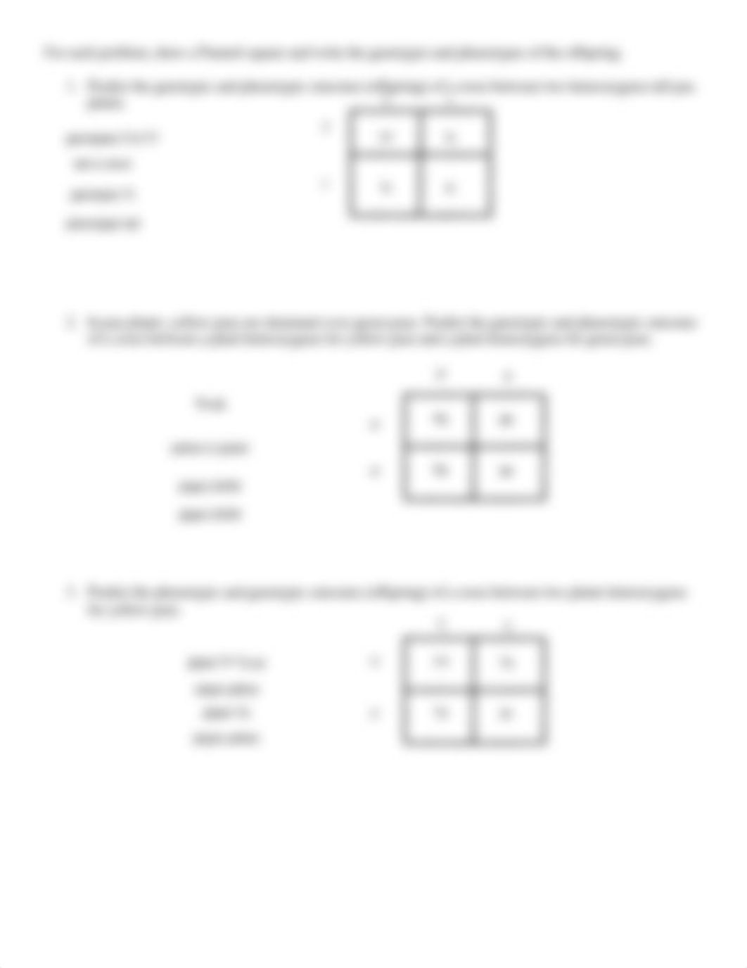 Monohybrid Practice-4.pdf_dvit2detukc_page4