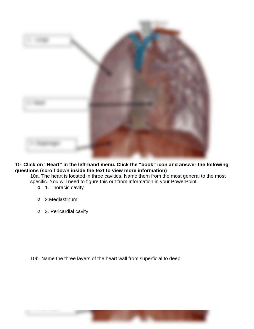 BIO 211 Lab 2.docx_dvit6ymugkg_page2