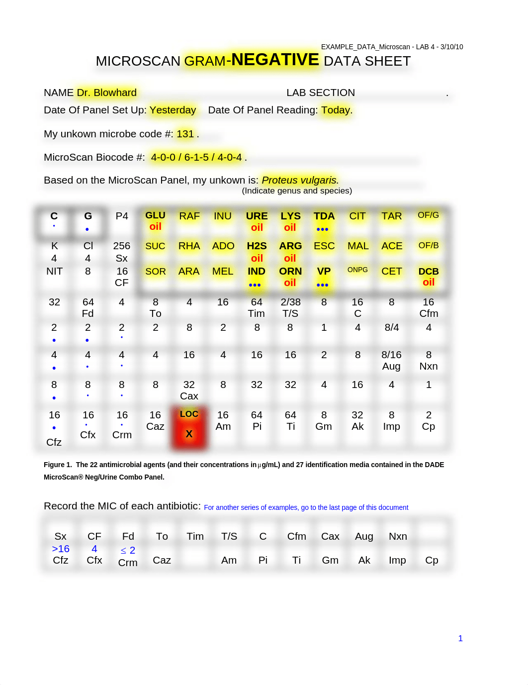 02x_EXAMPLE_DATA_Microscan_091009_dvitfytr2t4_page1