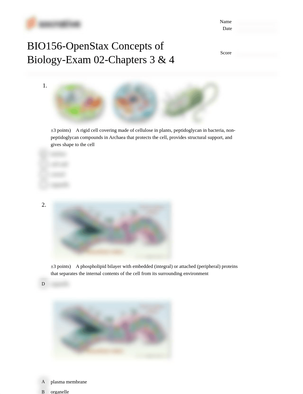 BIO156-OpenStax Concepts of Biology-Exam 02-Chapters 3 & 4.pdf_dvix6h7hioo_page1