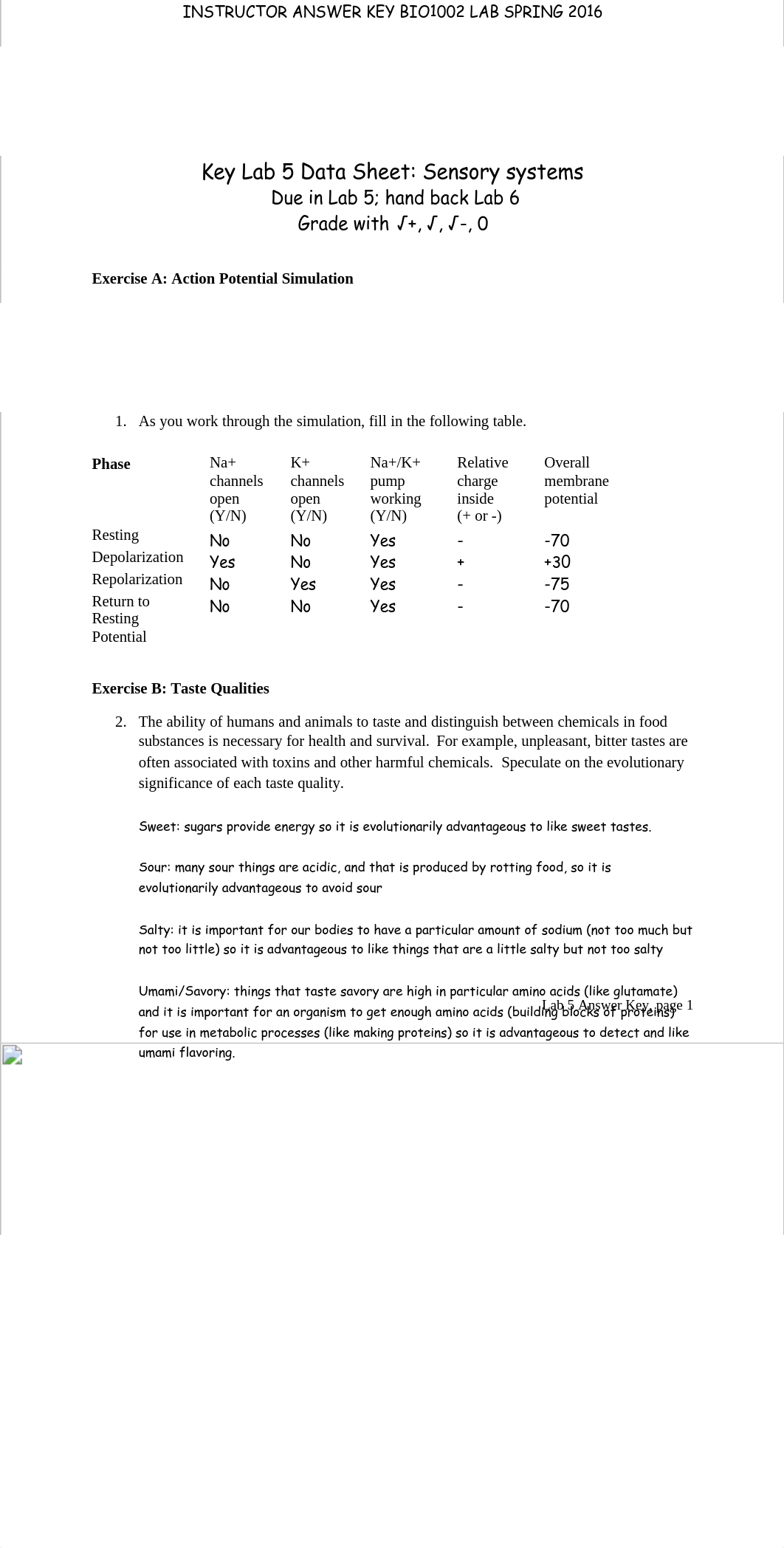 senses_solutions_dvix9nhqoi1_page1