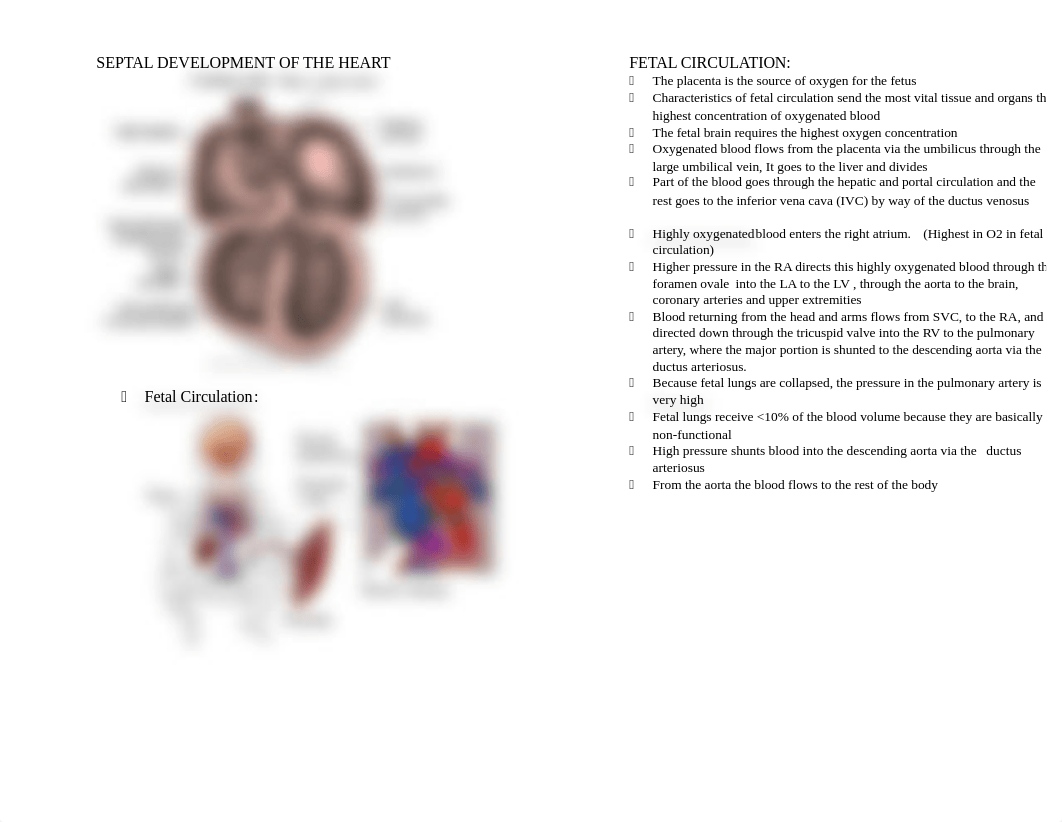 Congenital Heart Defects_dvj13p7j4qg_page1