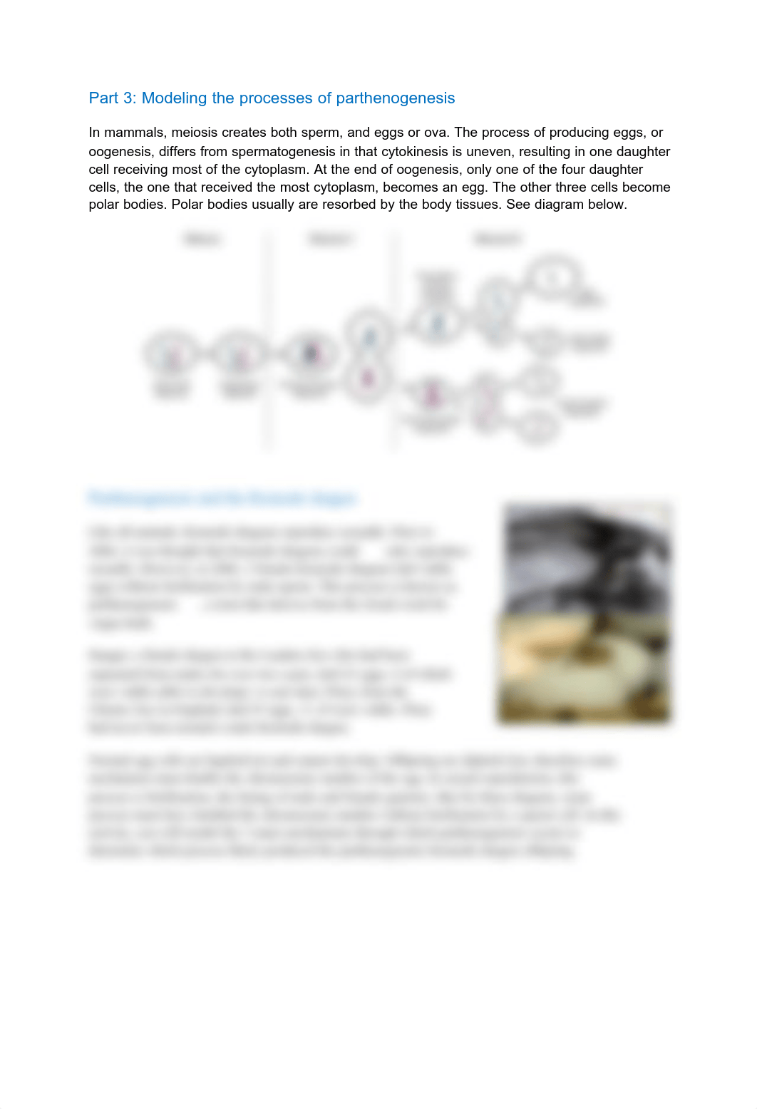 Lab Meiosis, Sexual Reproduction, and Parthenogenesis  (1).pdf_dvj2ewilnxs_page3