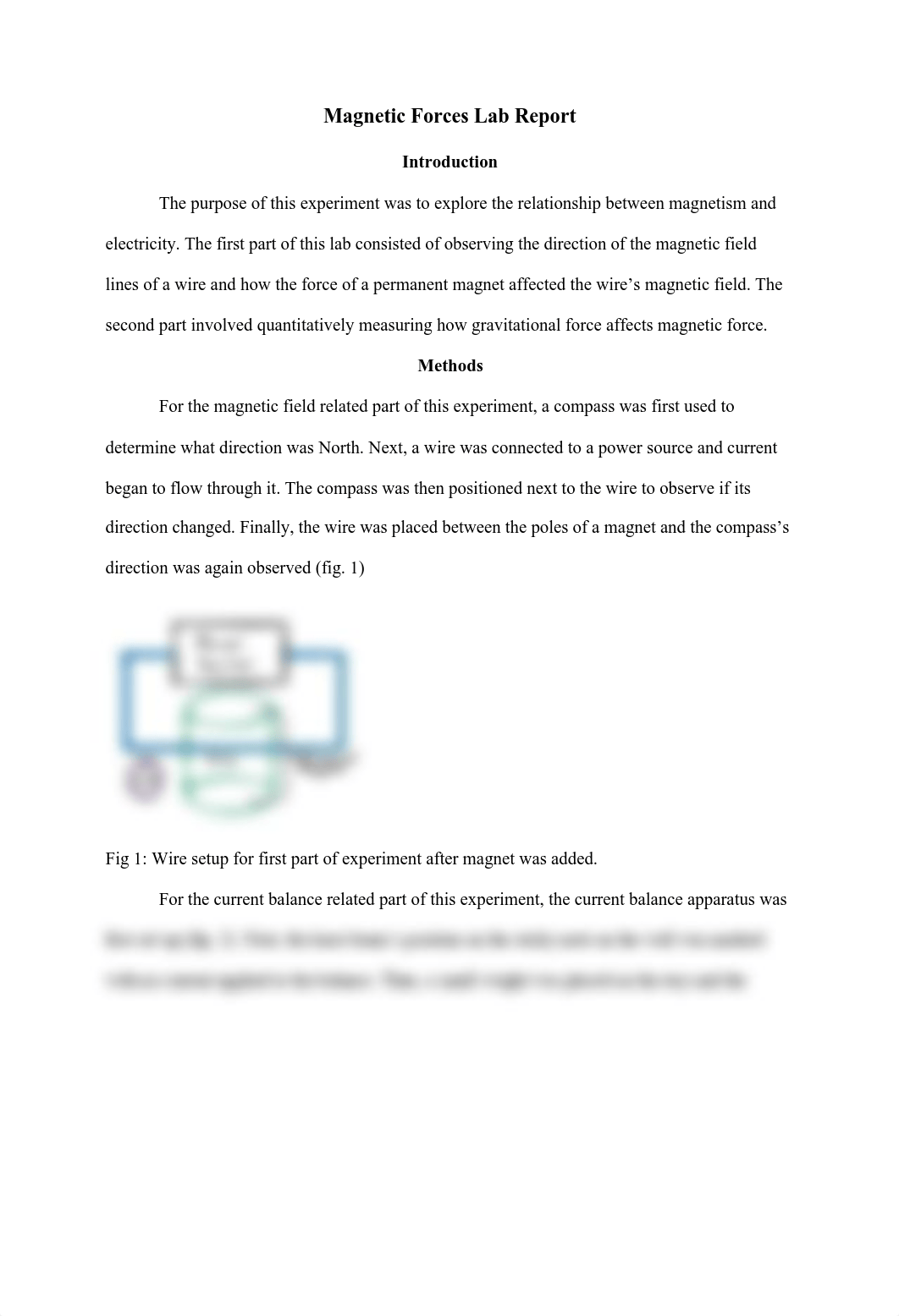 Magnetic Forces Lab Report (1).pdf_dvj4zf3hzx7_page1