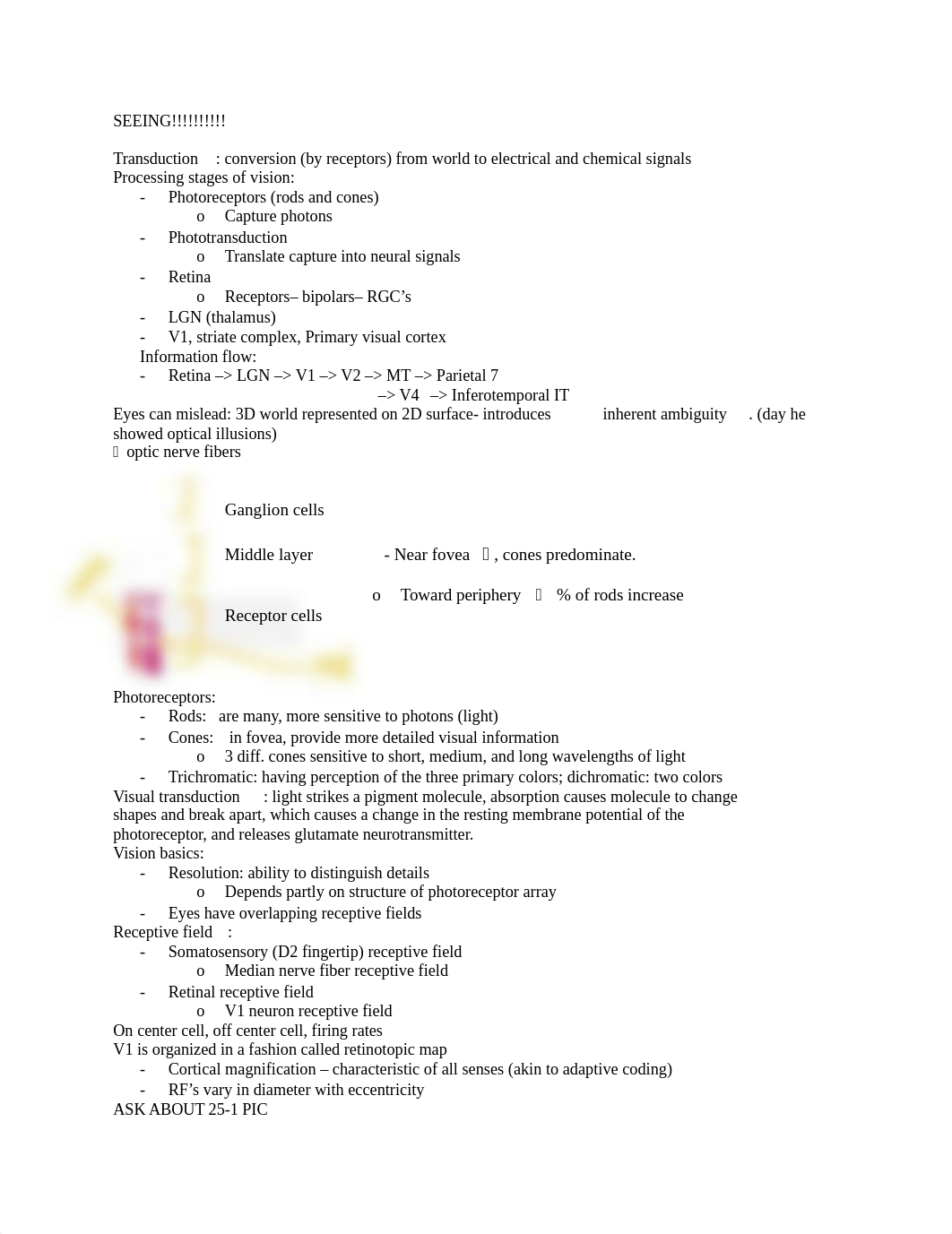 NEURO EXAM 2 .docx_dvjn24perle_page1