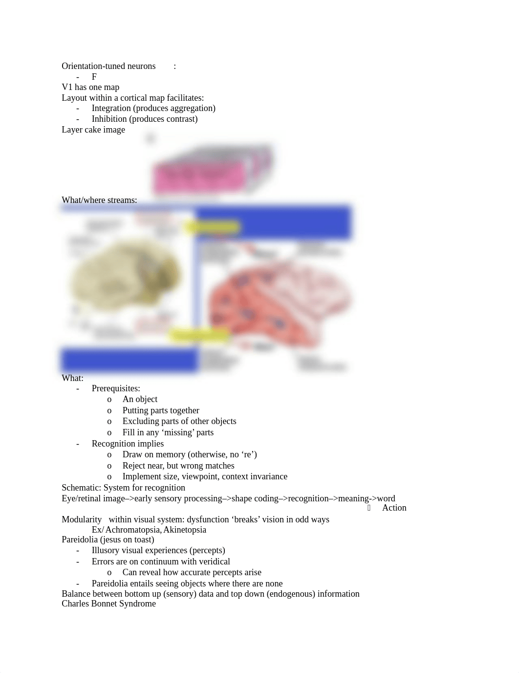 NEURO EXAM 2 .docx_dvjn24perle_page2