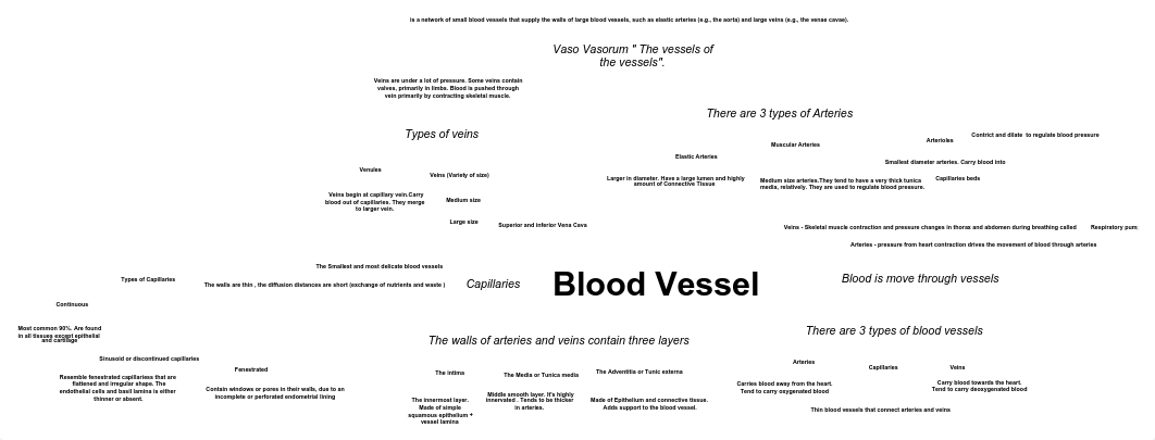 Blood Vessel concept map.pdf_dvjoc0vedbu_page1