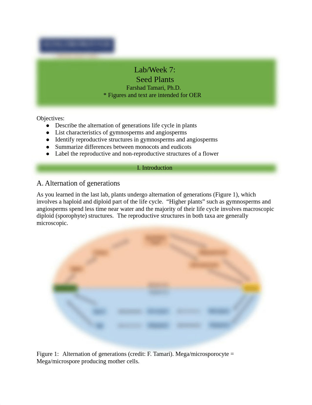 Lab_Week 7_ Seed plants.pdf_dvjox88h3ea_page1