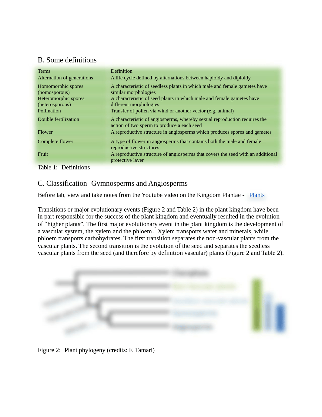 Lab_Week 7_ Seed plants.pdf_dvjox88h3ea_page2