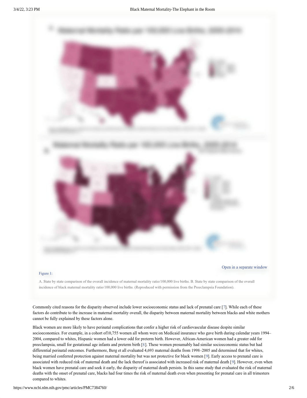 Black Maternal Mortality-The Elephant in the Room.pdf_dvjvbyk92sx_page2