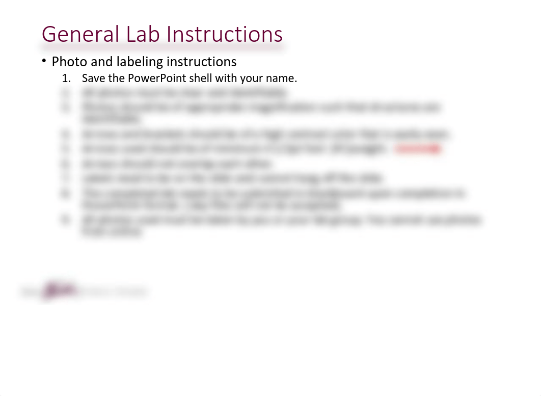 Chapter 13 Lab Part 1 Distance-1 kay.pdf_dvk0l0pi1qg_page5