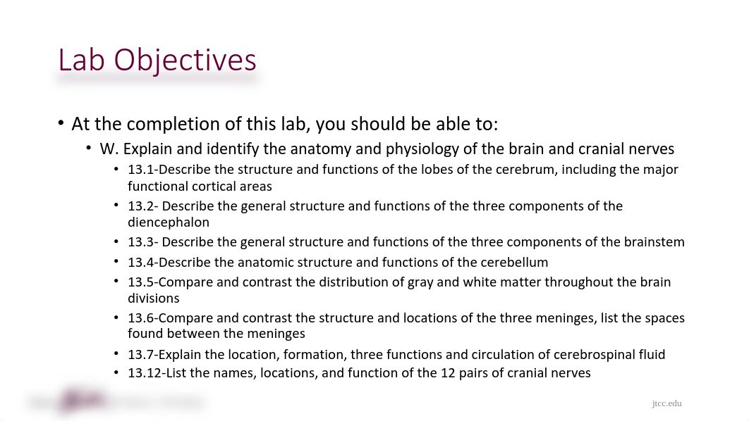 Chapter 13 Lab Part 1 Distance-1 kay.pdf_dvk0l0pi1qg_page4