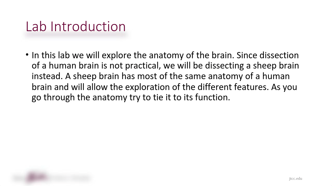 Chapter 13 Lab Part 1 Distance-1 kay.pdf_dvk0l0pi1qg_page3