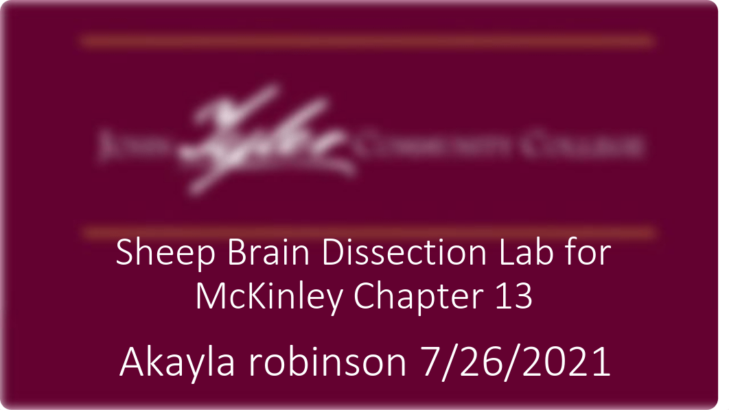 Chapter 13 Lab Part 1 Distance-1 kay.pdf_dvk0l0pi1qg_page1