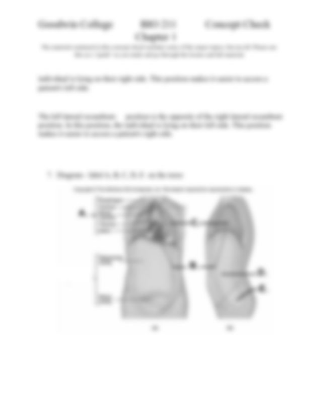 Atlas A and Chapter 1 Concept Check BIO211(1).docx_dvk6x6xc55z_page3