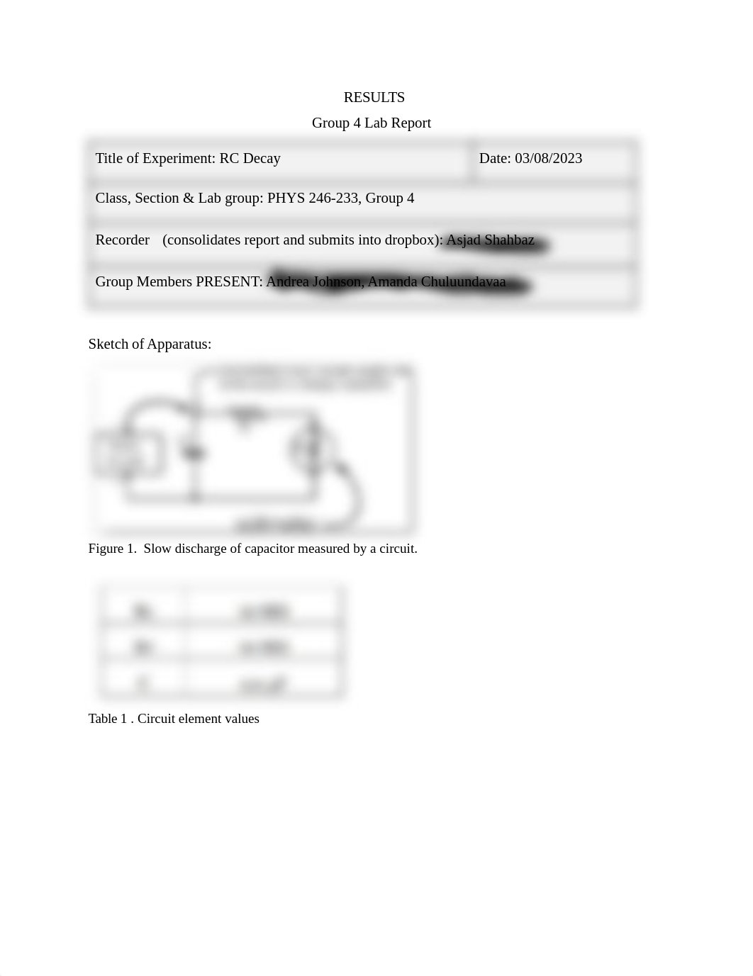 RC Decay - Results.pdf_dvk89giel2j_page1