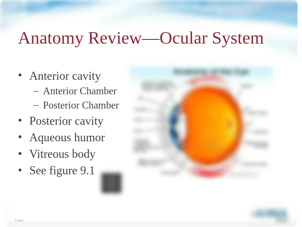 Chapter 9 Sense organs w audio.pptx_dvkdqnuk206_page3