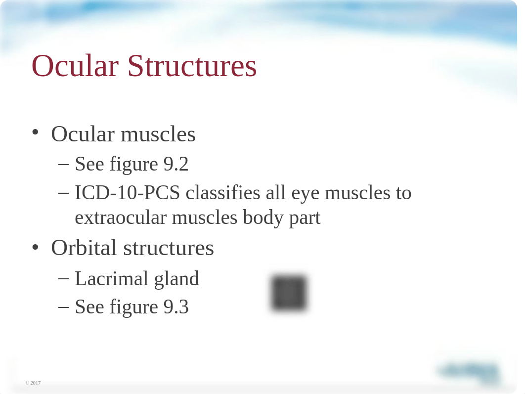 Chapter 9 Sense organs w audio.pptx_dvkdqnuk206_page4