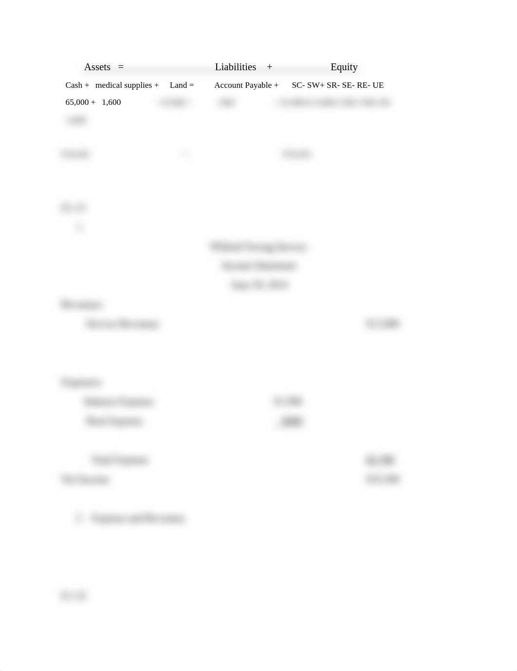 accounting hw chapter 1_dvkgsmgoq49_page2