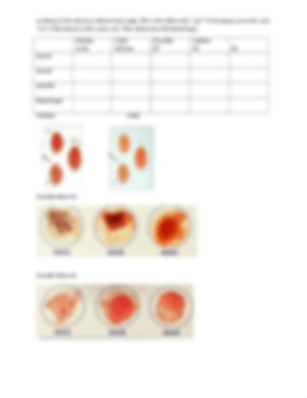 Module 6 Assignment Blood Typing and Making Protein.docx_dvkigv5fynw_page2