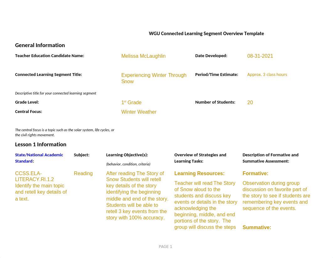 learning segment overview task2.docx_dvkug9j6iyr_page1