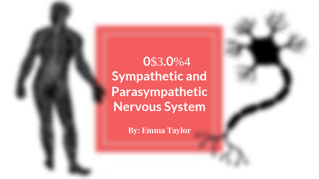 03.04 Sympathetic and Parasympathetic Nervous System 1026.0 Anatomy & Physiology .pdf_dvlewj15kwx_page1