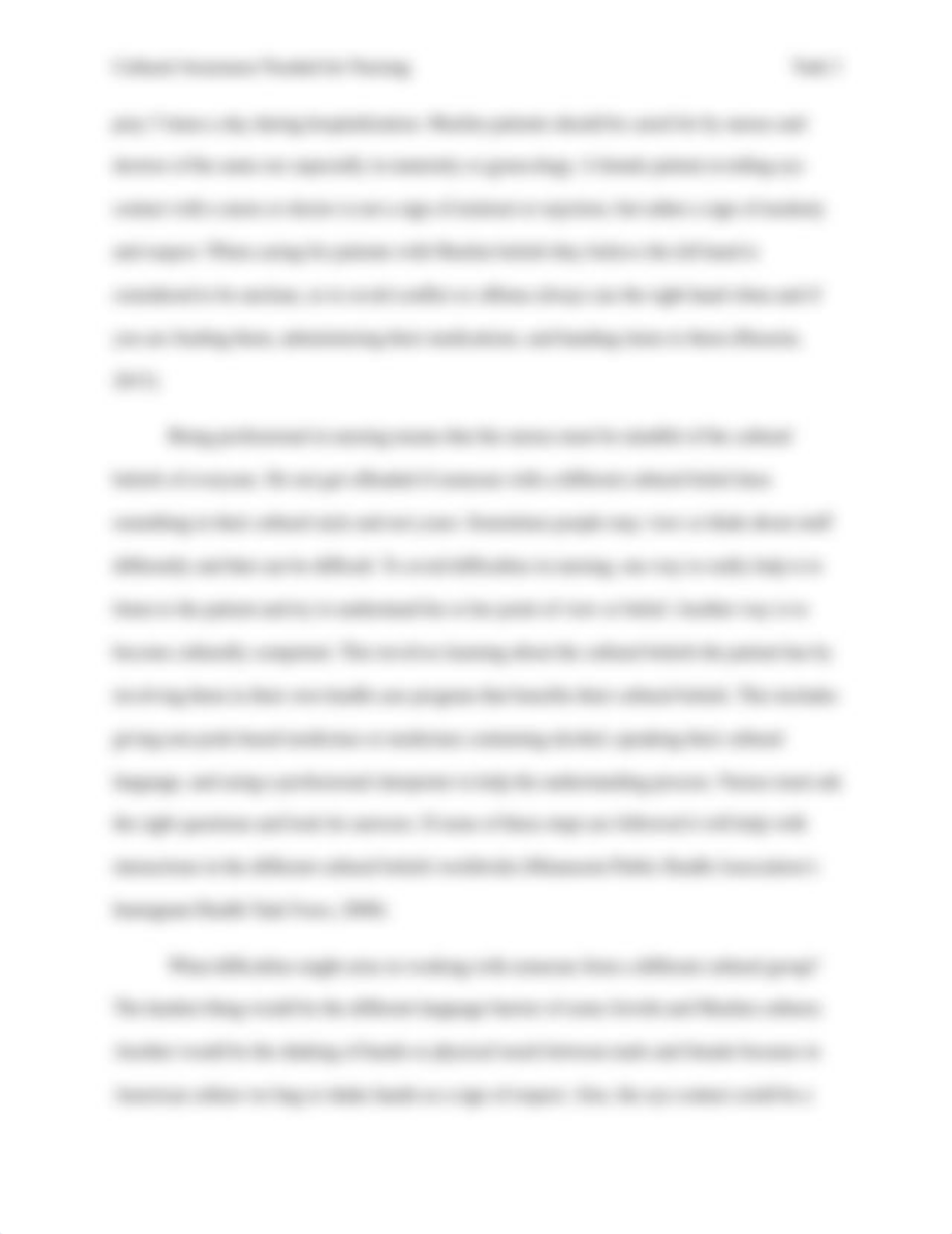 Careys Cultural Awareness Essay .docx_dvlp54uoucg_page3