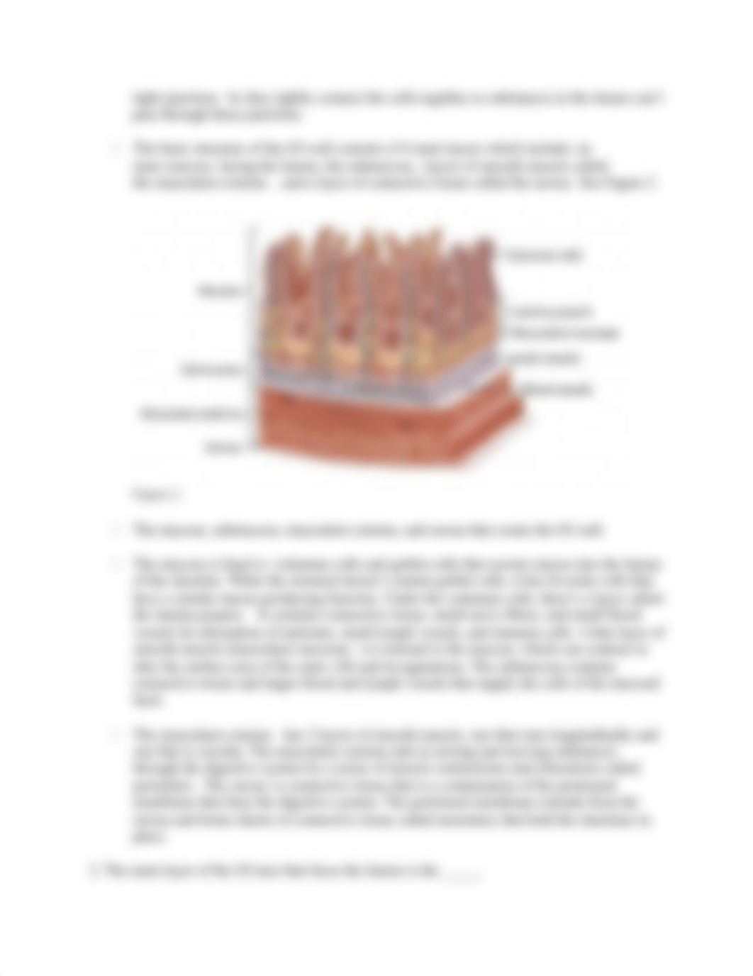 Lab#9 Digestive System Fetal Pig Laboratory.docx_dvlpcgqaqne_page3