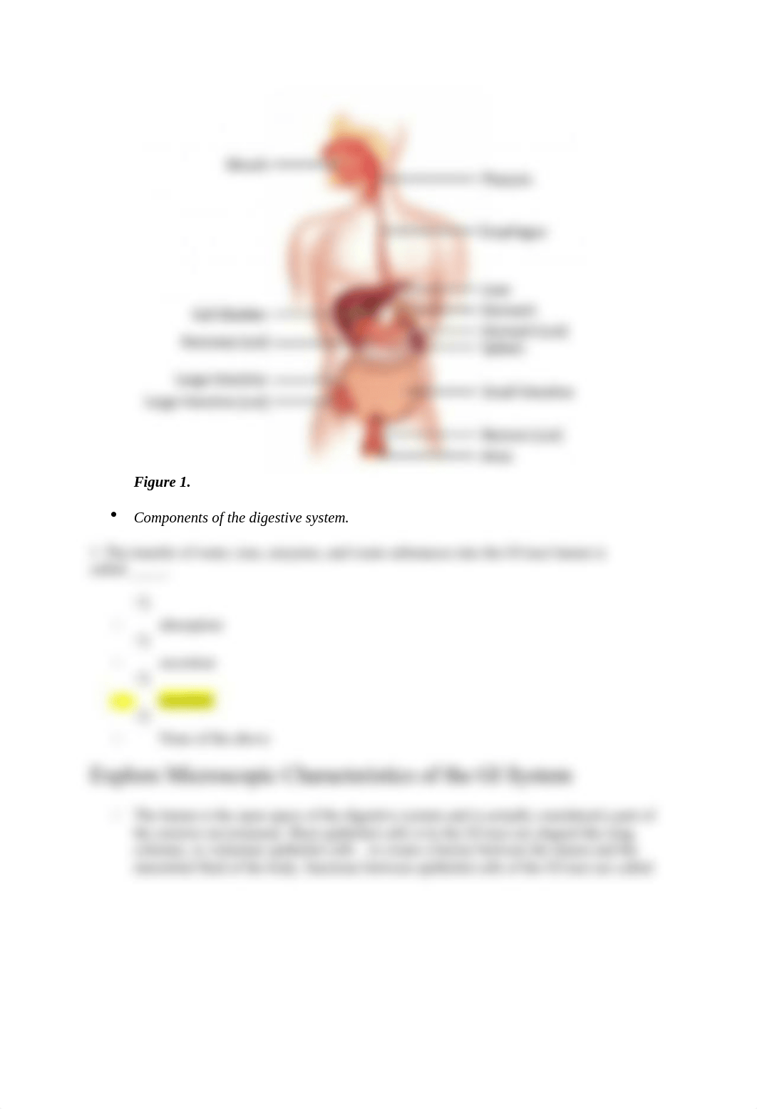 Lab#9 Digestive System Fetal Pig Laboratory.docx_dvlpcgqaqne_page2