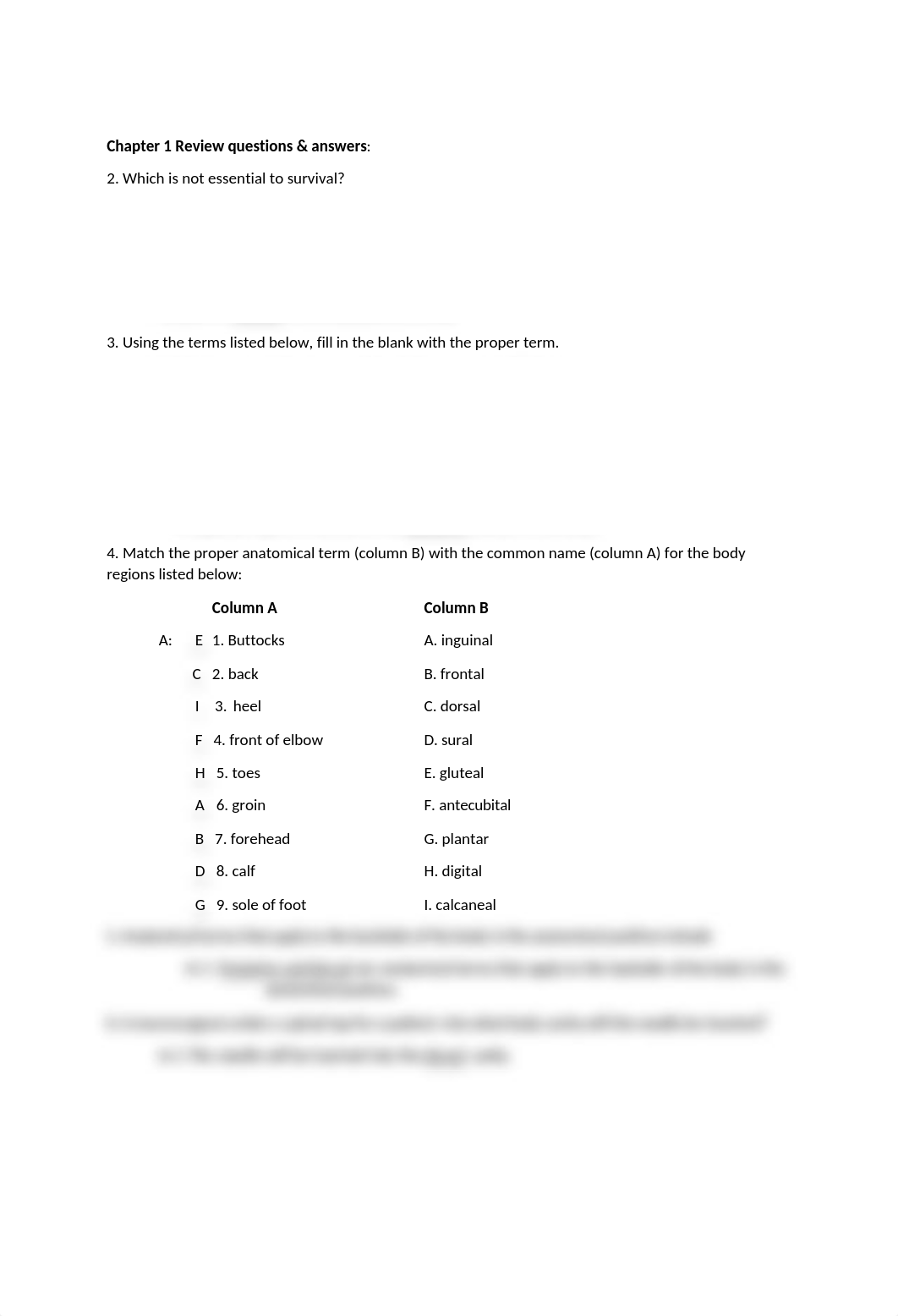 chapter 1 & 2 review questions.docx_dvlpw810ypo_page1