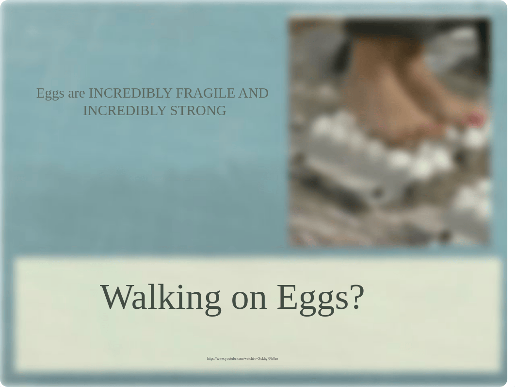 egg lecture_dvm0qatmnn8_page4