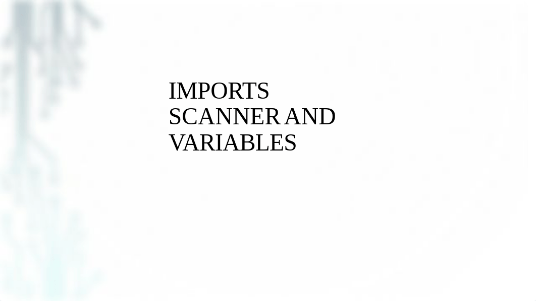 ITEC 110 Lab 02 Scanner Import and Variables.pdf_dvm1sw27uyn_page1