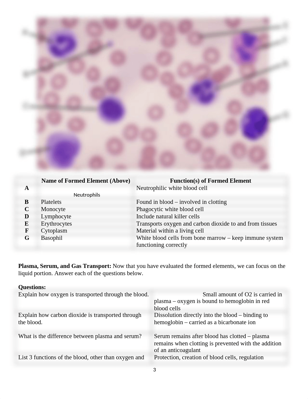 Lab 9 Blood, Lymphatic, & Immune Systems.docx_dvm5ea2fvpc_page3