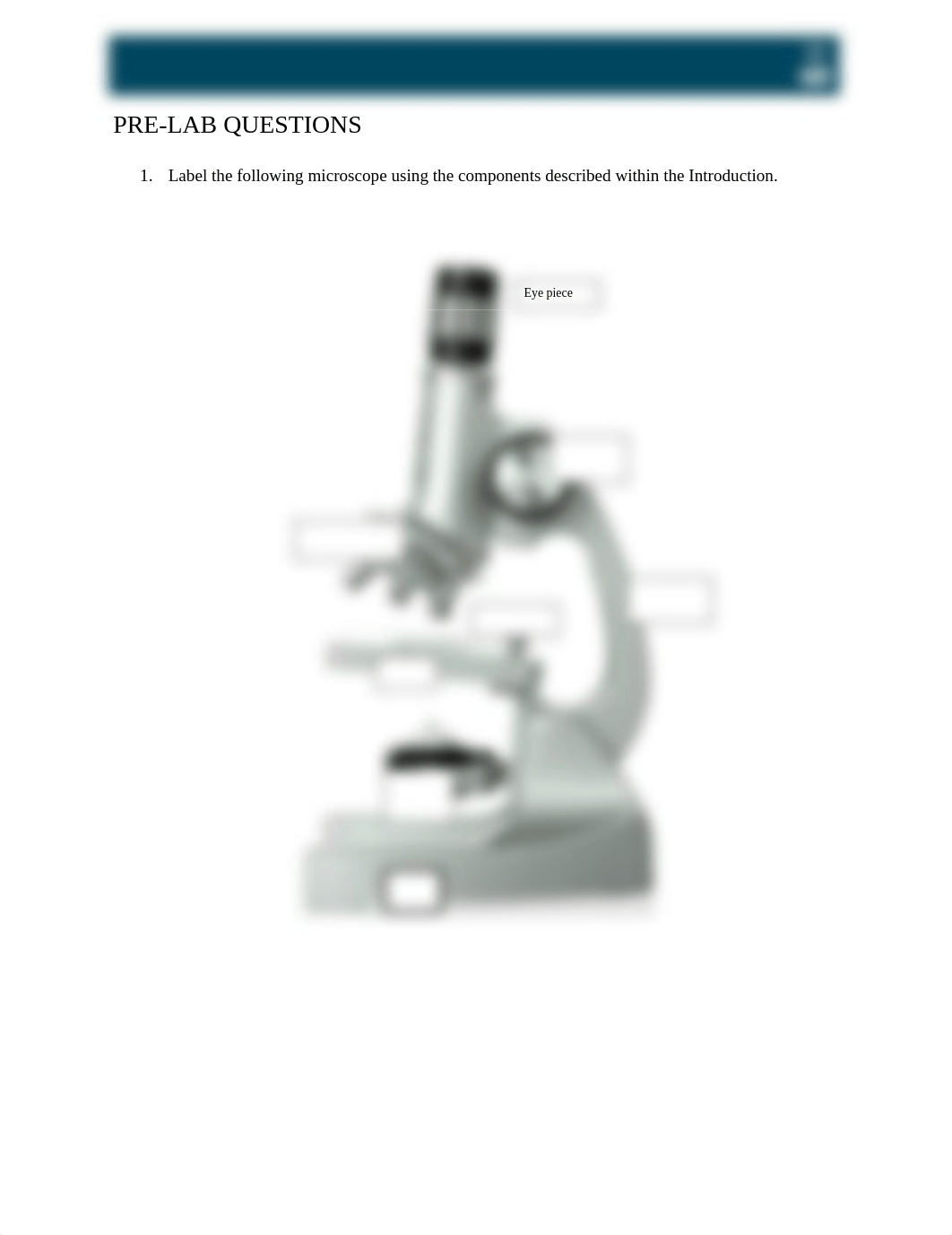 MICROSCOPE.docx_dvmf6i8birn_page1