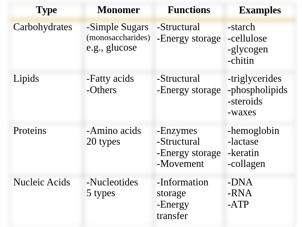 3 Bio 100 Biochemistry.ppt_dvmjpz4hoer_page3